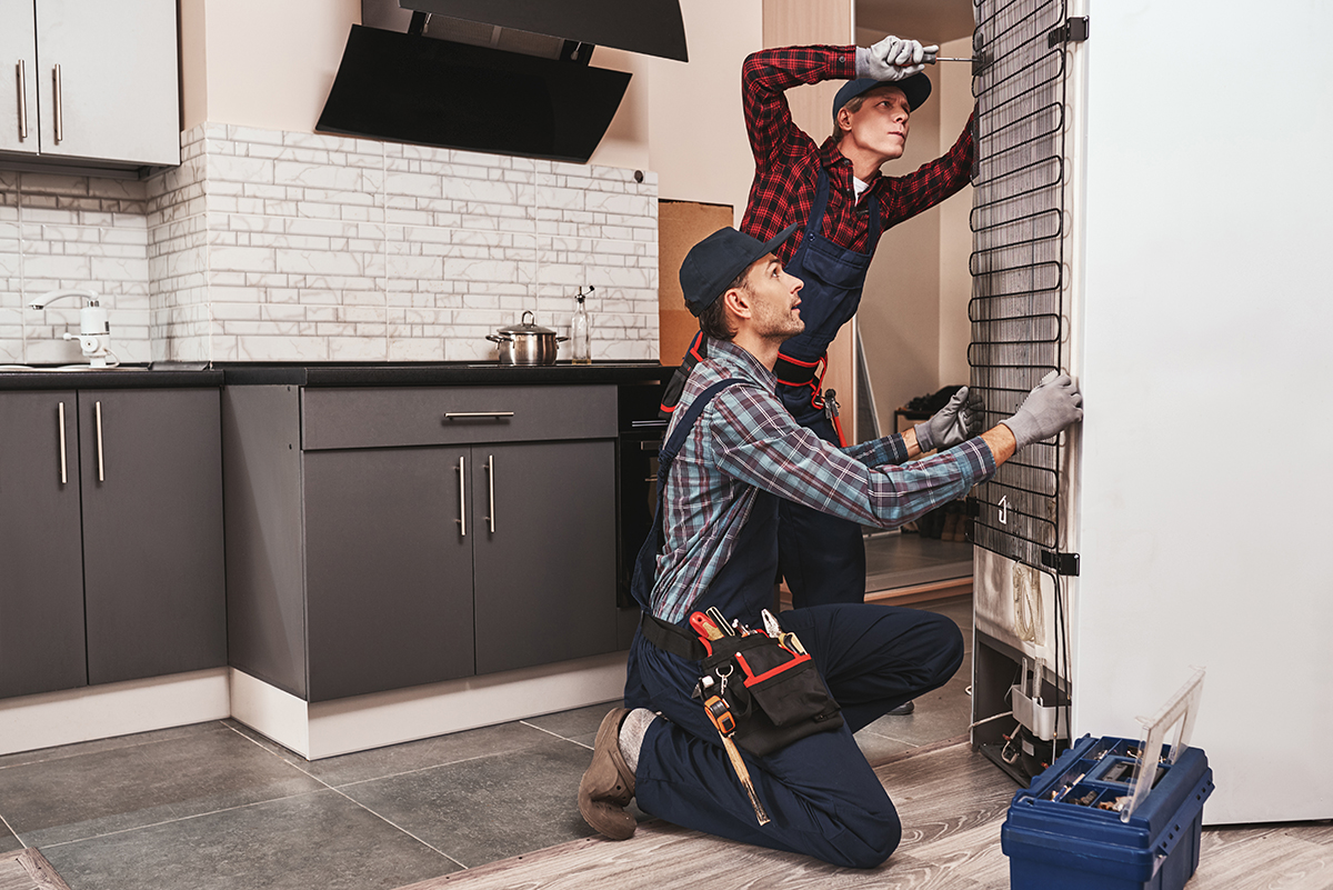 Home repair technicians